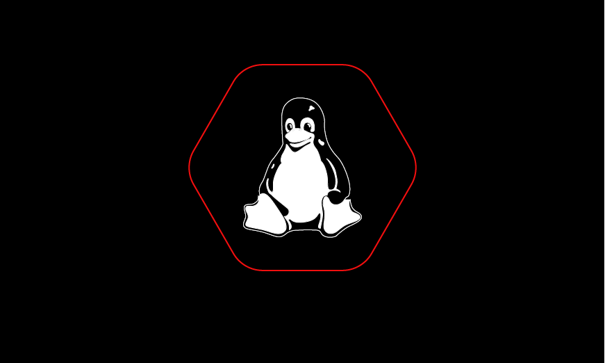 linux_exploit_fundamentals_ravinacademy