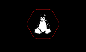 Basic Linux Exploit Development