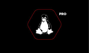 Advanced Linux Exploit Development