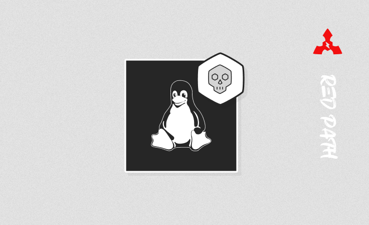 Basic Linux Exploit Development