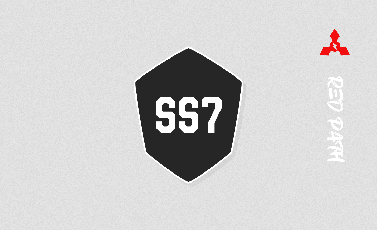 SS7 & Sigtran Security