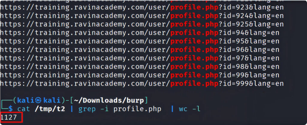 گزارش پاسخ به رخداد سامانۀ آموزش آکادمی راوین