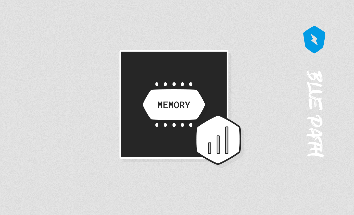 Professional Memory Analysis